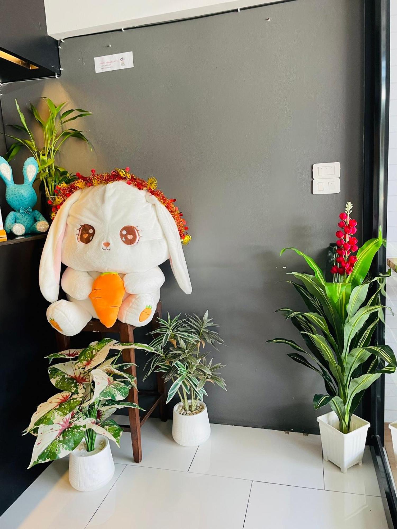 Rabbitel Phuket Hostel Eksteriør bilde